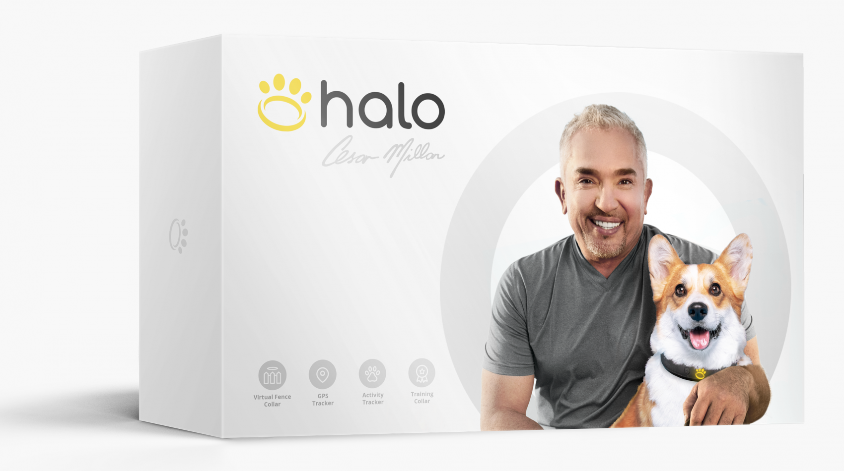 Cesar Millan Halo