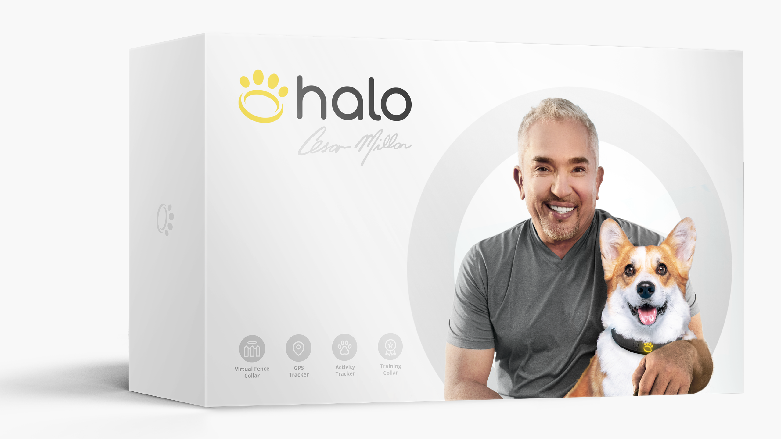 Cesar Millan Halo